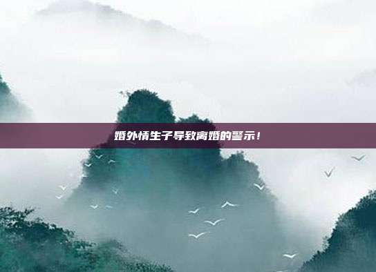 婚外情生子导致离婚的警示！