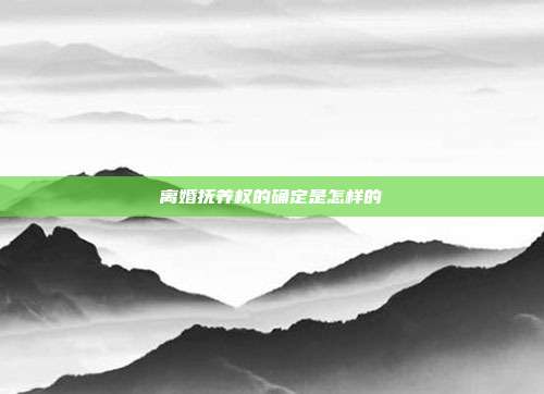 离婚抚养权的确定是怎样的