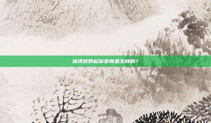 探视权的起诉步骤是怎样的？