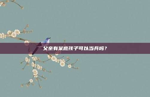 父亲有案底孩子可以当兵吗?