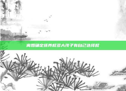 离婚确定抚养权多大孩子有自己选择权
