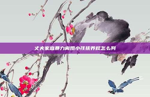 丈夫家庭暴力离婚小孩抚养权怎么判