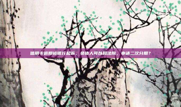 信用卡逾期被银行起诉，负债人可以和法院，申请二次分期？