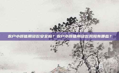 农户小额信用贷款安全吗？农户小额信用贷款风险有哪些？