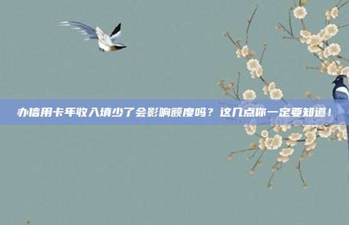 办信用卡年收入填少了会影响额度吗？这几点你一定要知道！