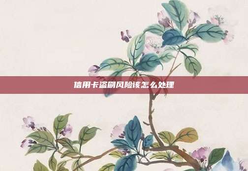 信用卡盗刷风险该怎么处理
