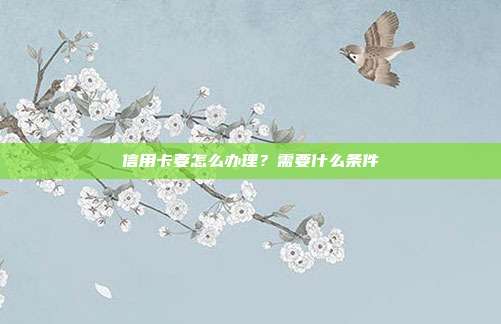 信用卡要怎么办理？需要什么条件
