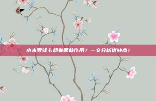 小米零钱卡都有哪些作用？一文分析优缺点！