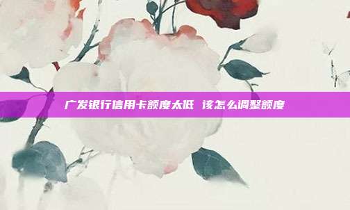 广发银行信用卡额度太低 该怎么调整额度