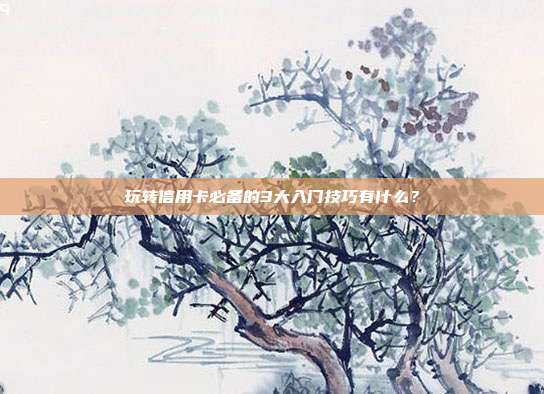 玩转信用卡必备的3大入门技巧有什么？