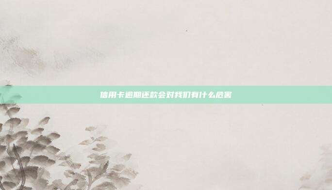 信用卡逾期还款会对我们有什么危害