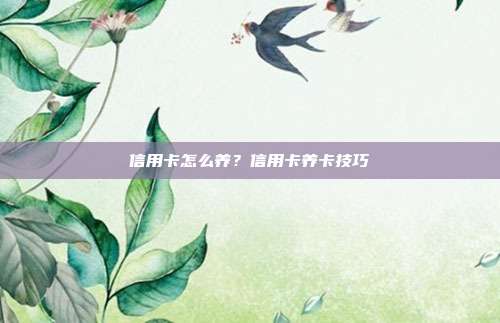 信用卡怎么养？信用卡养卡技巧