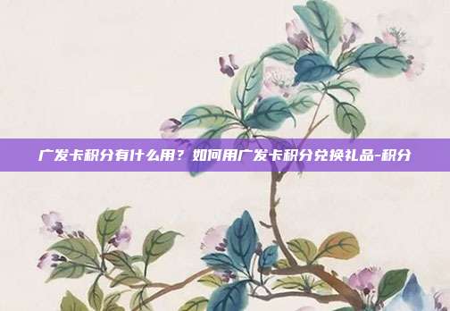广发卡积分有什么用？如何用广发卡积分兑换礼品-积分