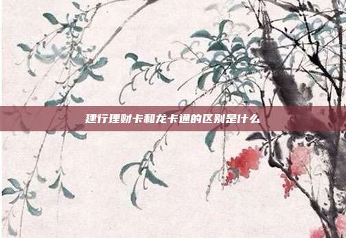 建行理财卡和龙卡通的区别是什么