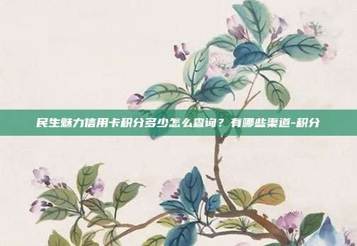 民生魅力信用卡积分多少怎么查询？有哪些渠道-积分