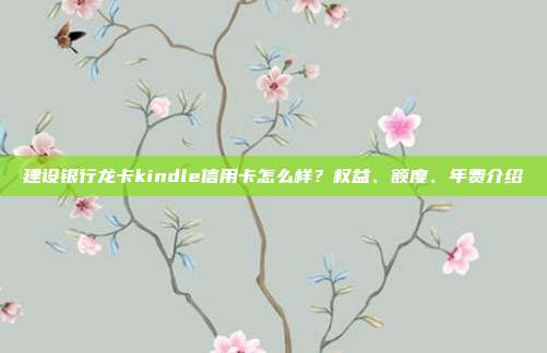 建设银行龙卡kindle信用卡怎么样？权益、额度、年费介绍