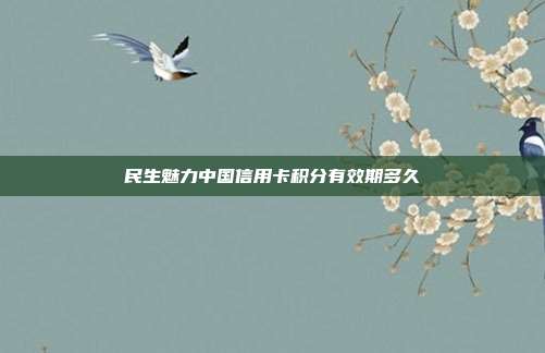 民生魅力中国信用卡积分有效期多久