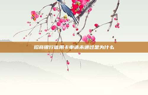 招商银行信用卡申请未通过是为什么