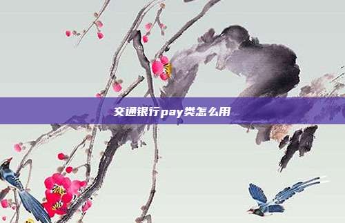 交通银行pay类怎么用