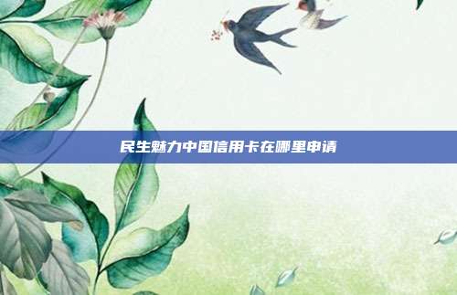 民生魅力中国信用卡在哪里申请