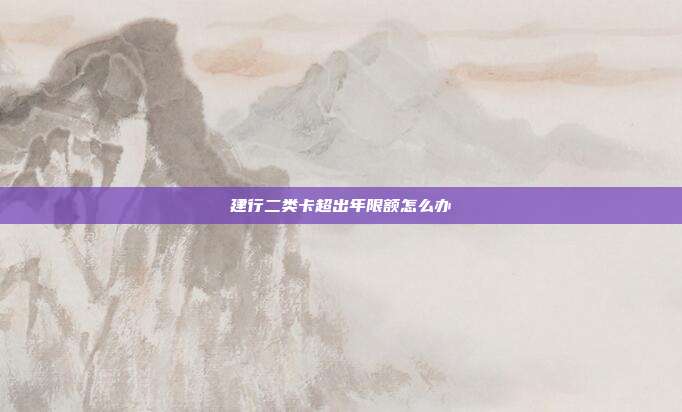 建行二类卡超出年限额怎么办