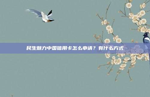民生魅力中国信用卡怎么申请？有什么方式
