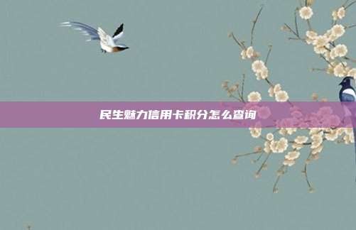 民生魅力信用卡积分怎么查询