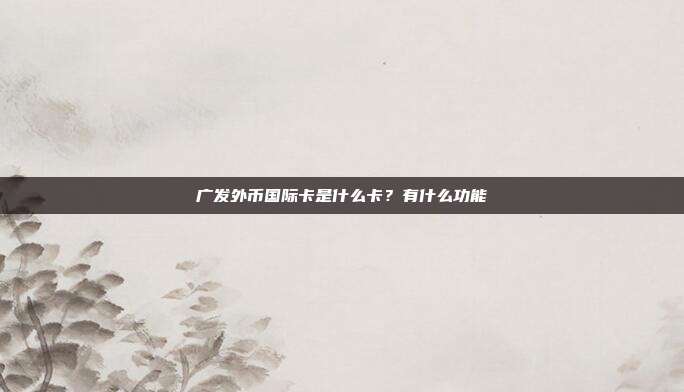 广发外币国际卡是什么卡？有什么功能