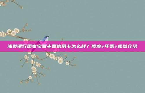 浦发银行国家宝藏主题信用卡怎么样？额度+年费+权益介绍