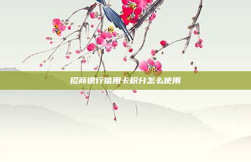 招商银行信用卡积分怎么使用