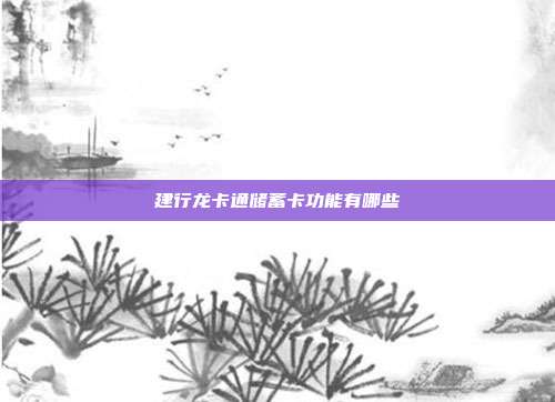 建行龙卡通储蓄卡功能有哪些