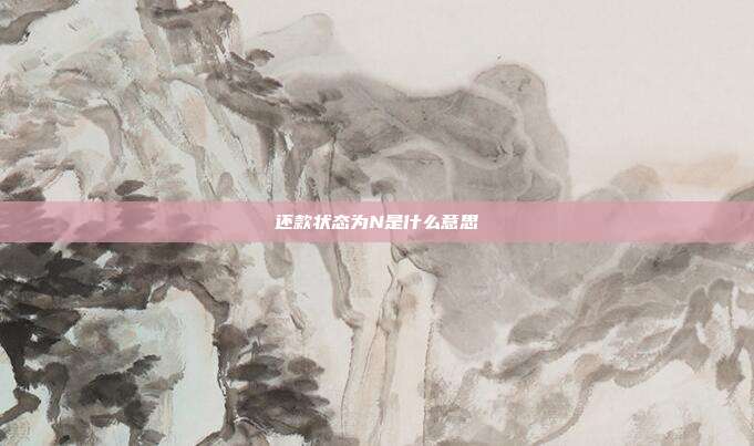 还款状态为N是什么意思