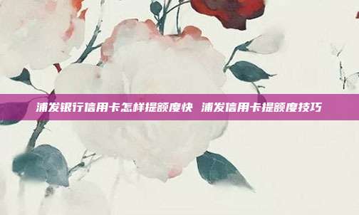 浦发银行信用卡怎样提额度快 浦发信用卡提额度技巧