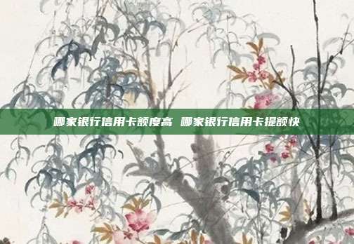 哪家银行信用卡额度高 哪家银行信用卡提额快