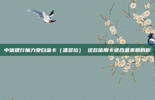 中信银行魔力爱白金卡（潘多拉） 这款信用卡适合最美丽的你