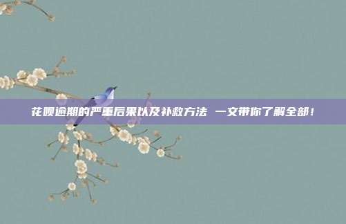 花呗逾期的严重后果以及补救方法 一文带你了解全部！