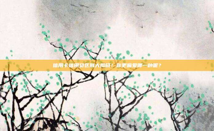 信用卡信用贷区别大揭晓！你更偏爱哪一种呢？