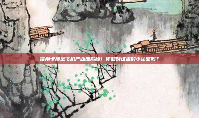 信用卡接送飞机产业链揭秘！你知晓这里的小秘密吗？