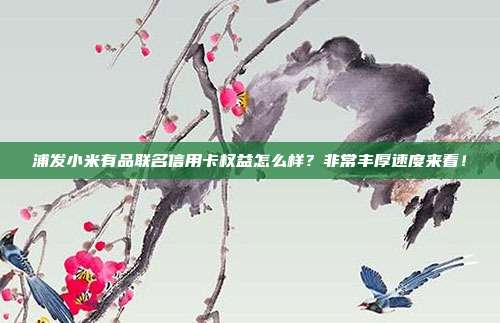 浦发小米有品联名信用卡权益怎么样？非常丰厚速度来看！