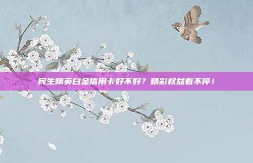 民生精英白金信用卡好不好？精彩权益看不停！