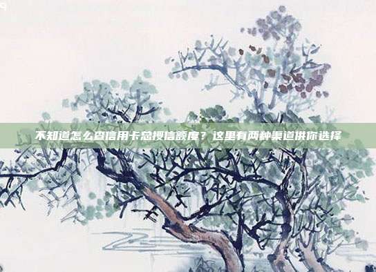 不知道怎么查信用卡总授信额度？这里有两种渠道供你选择