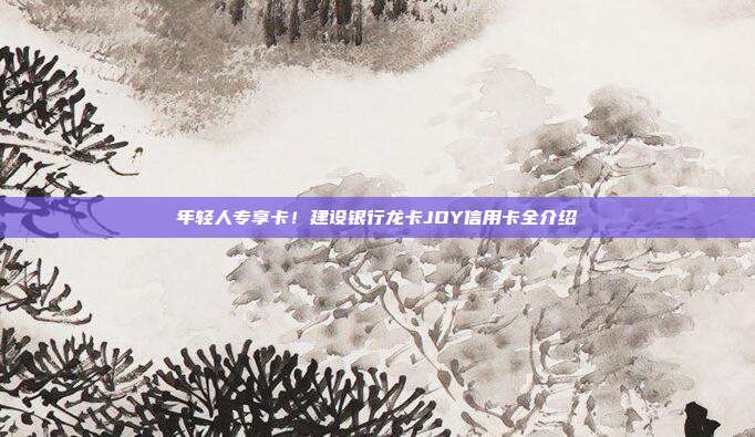 年轻人专享卡!建设银行龙卡JOY信用卡全介绍