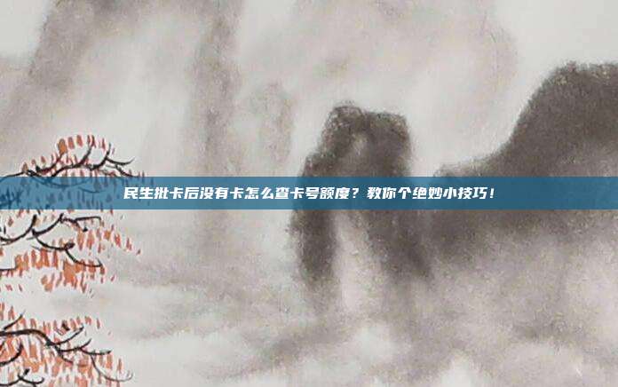 民生批卡后没有卡怎么查卡号额度？教你个绝妙小技巧！