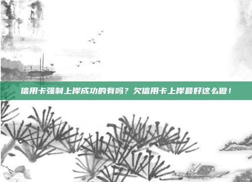信用卡强制上岸成功的有吗？欠信用卡上岸最好这么做！