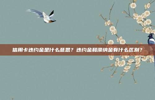 信用卡违约金是什么意思？违约金和滞纳金有什么区别？