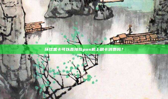 环球黑卡可以直接在pos机上刷卡消费吗？