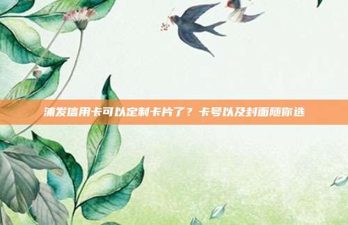 浦发信用卡可以定制卡片了?卡号以及封面随你选