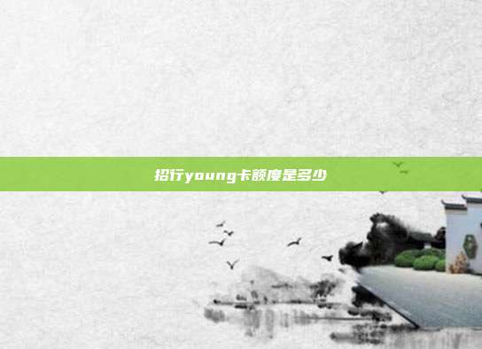 招行young卡额度是多少