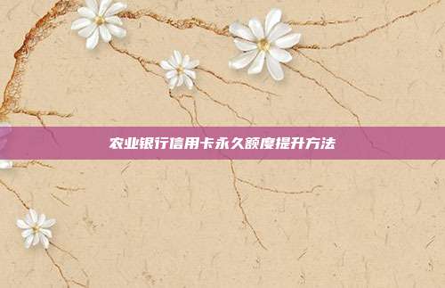 农业银行信用卡永久额度提升方法