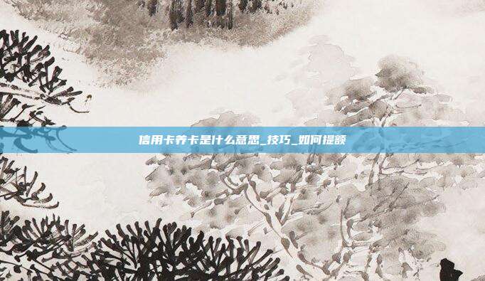 信用卡养卡是什么意思_技巧_如何提额